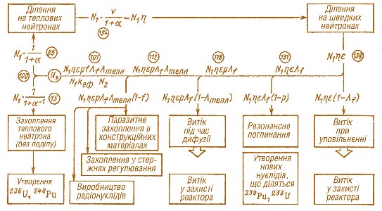 Мал. 2.1. Схема нейтронного циклу в ядерному реакторі 