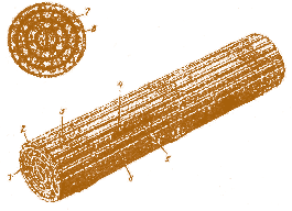 Мал. 2.57. Тепловиділяюча збірка реактора  CANDU з 37 твелів:  1 – циркалоєва кінцева кріпильна решітка;  2 – циркалоєва кінцева заглушка;  3 – циркалоєві направляючі й дистанціонуючі виступи; 4 – таблетки з двооксиду урану; 5 – графітовий прошарок;  6 – оболонка твела; 7 – внутрішні дистанціонуючі решітки;  8 – канальна труба