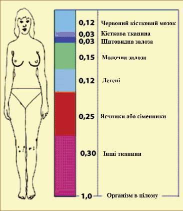 Мал. 3.7. Коефіцієнти радіаційного ризику для різних тканин (органів) людини при рівномірному опроміненні всього тіла 