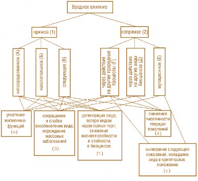 Рис. 2.1. Структурная схема системы вредного влияния на окружающую природную среду загрязняющих веществ и продуктов сгорания топлива