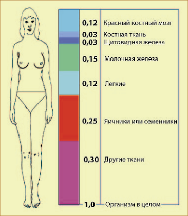 Рис. 3.7. Коэффициенты радиационного риска для разных тканей (органов) человека при равномерном облучении всего тела